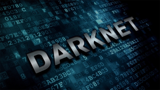 DarkNet Service