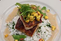 Talapia